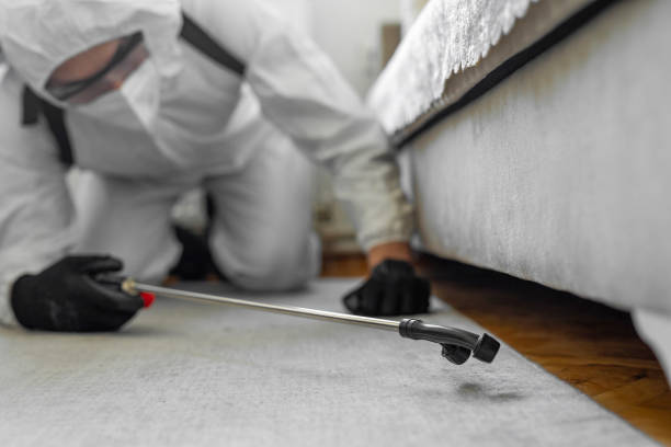 Professional Termite Control technician working in Oran, MO