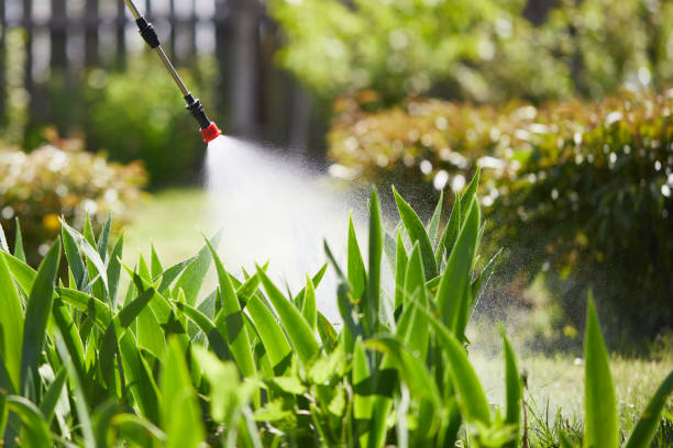 24/7 Emergency Termite Control experts in Oran, MO