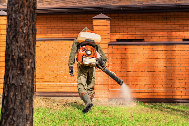 Top rated local Termite Control specialists in Oran, MO